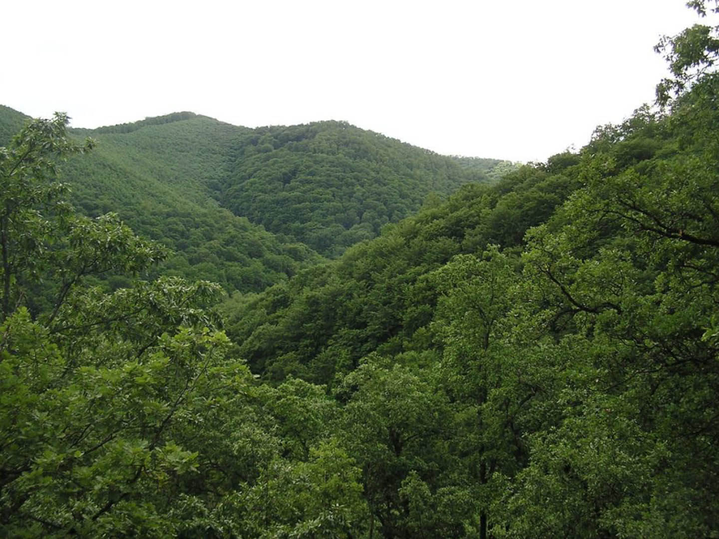 01_Gyepes_volgy_foto