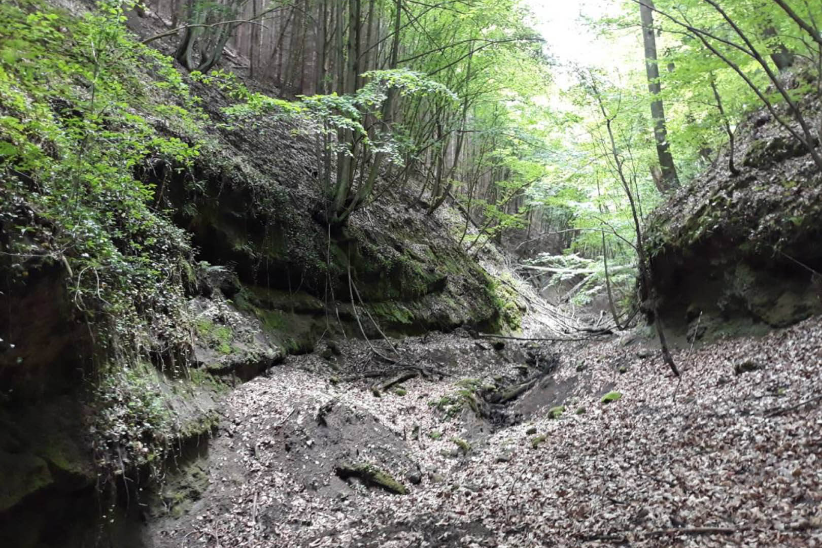 12_Gyepes_volgy_foto